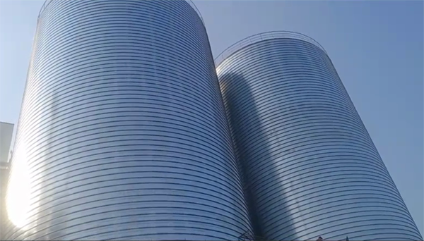 南宝镇2座混凝土高架卷板仓